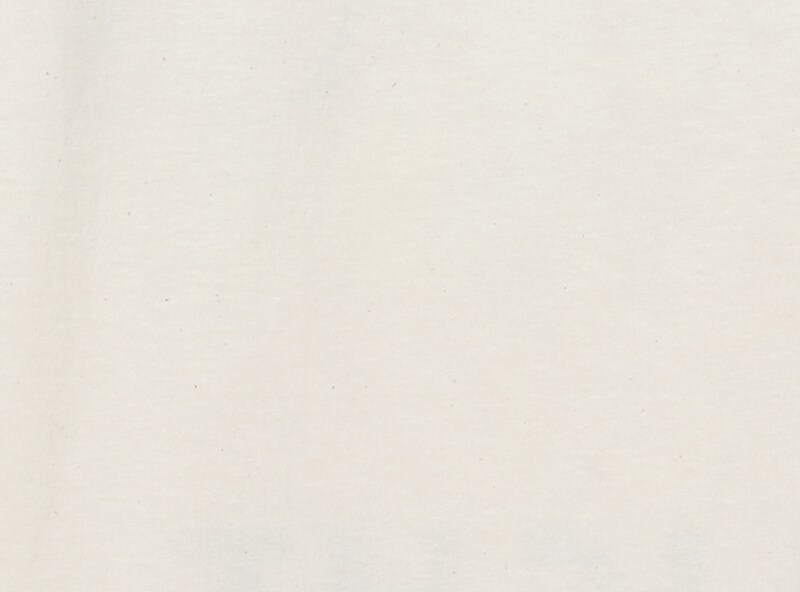 Adult Coors Light Graphic T-Shirt