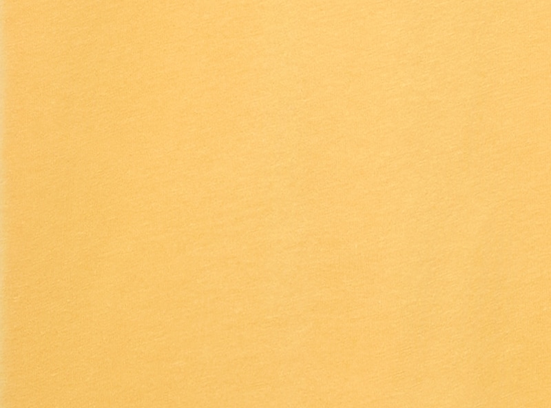 Adult Toyota Land Cruiser Graphic T-Shirt