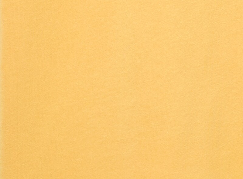 Adult Toyota Land Cruiser Graphic T-Shirt