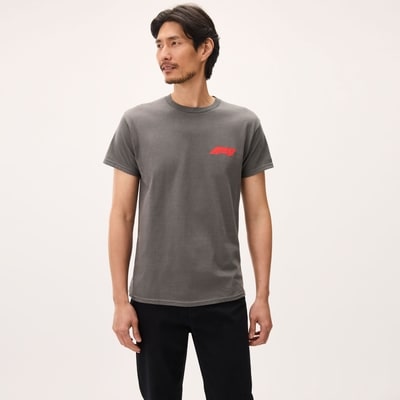 Adult Formula 1 Graphic T-Shirt - Charcoal