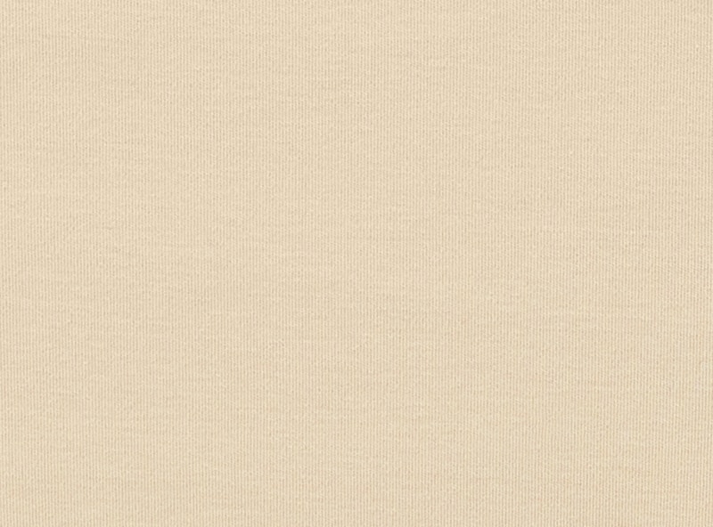 Women+ Cotton No Show Hipster