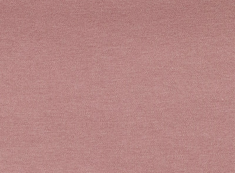 Women+ Cotton No Show Hipster