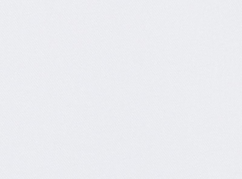 Faux Shirt Collar Dickie