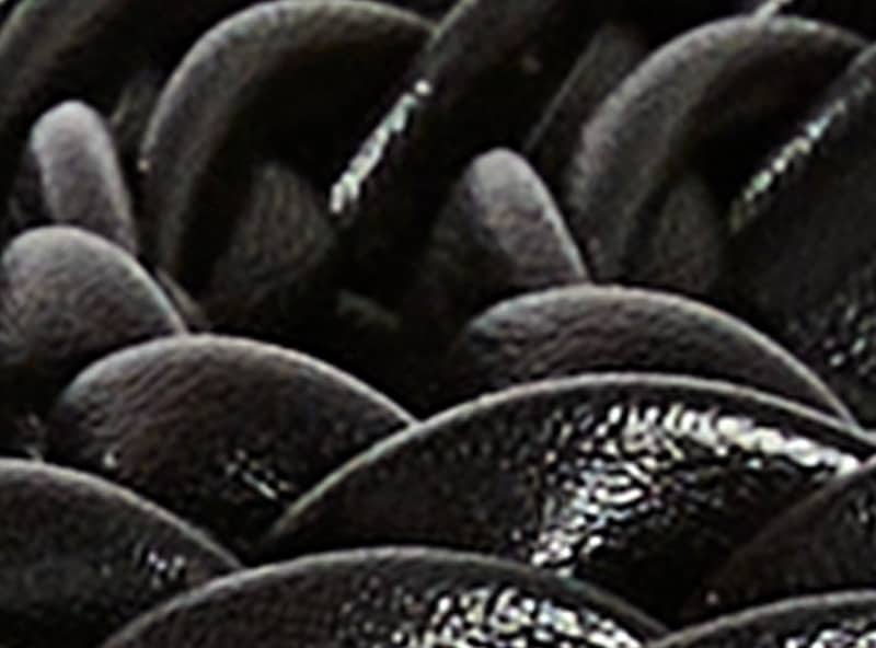 2-Pack Braided Belts