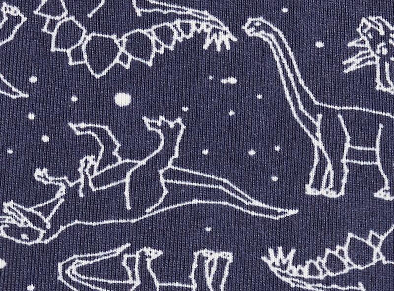 Toddler Boys' 2 Piece Sleep Set