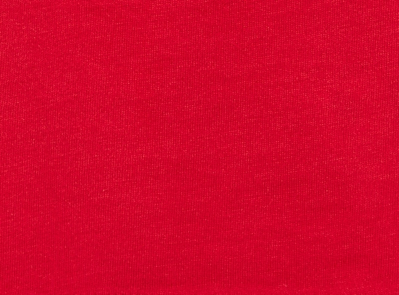 Toddler Lunar New Year Long Sleeve Top