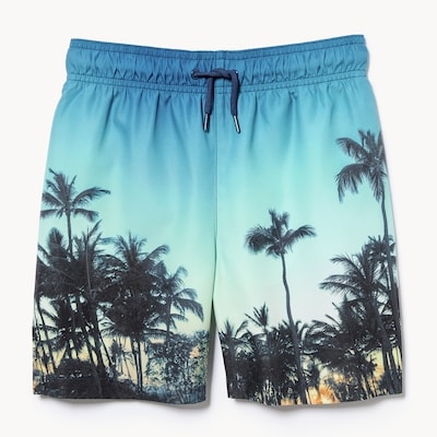 Kids Boys' Graphic Swim Trunk - Blue