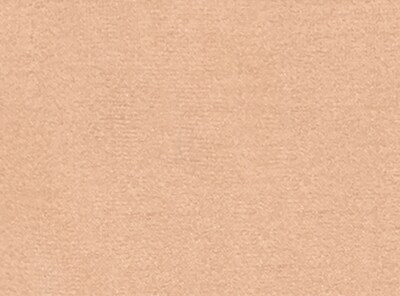 Shapewear Brief