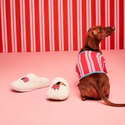 Pantoufles motif de chien JF x Jessi, tout-petits - Brun Pâle