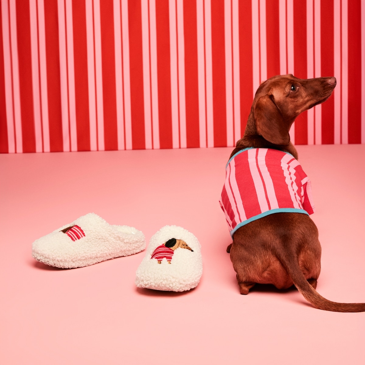 Pantoufles motif de chien JFxJessi, tout-petits - Brun Ple