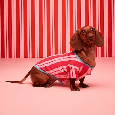 JF x Jessi Striped Pet T-Shirt - Light Red