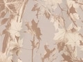 thumbnail #3