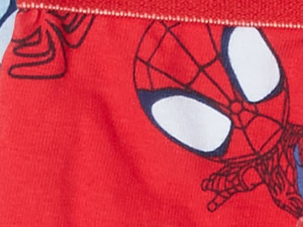 Marvel Spidey & His Amazing Friends Boxer Briefs