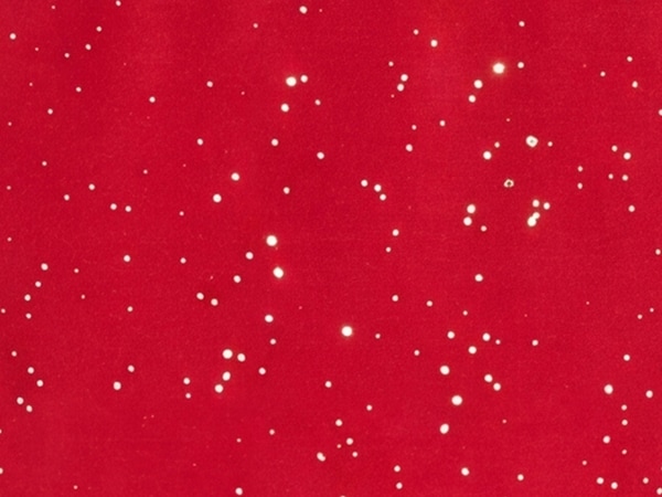 Kid Girls' Sparkle Legging