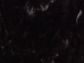 thumbnail #2