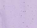 thumbnail #2