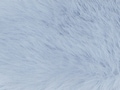 thumbnail #2