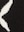 JF Black