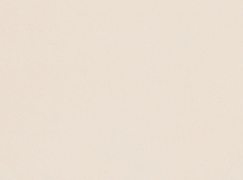 Women+ No Show Brief