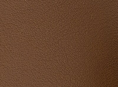 Faux Leather Belt