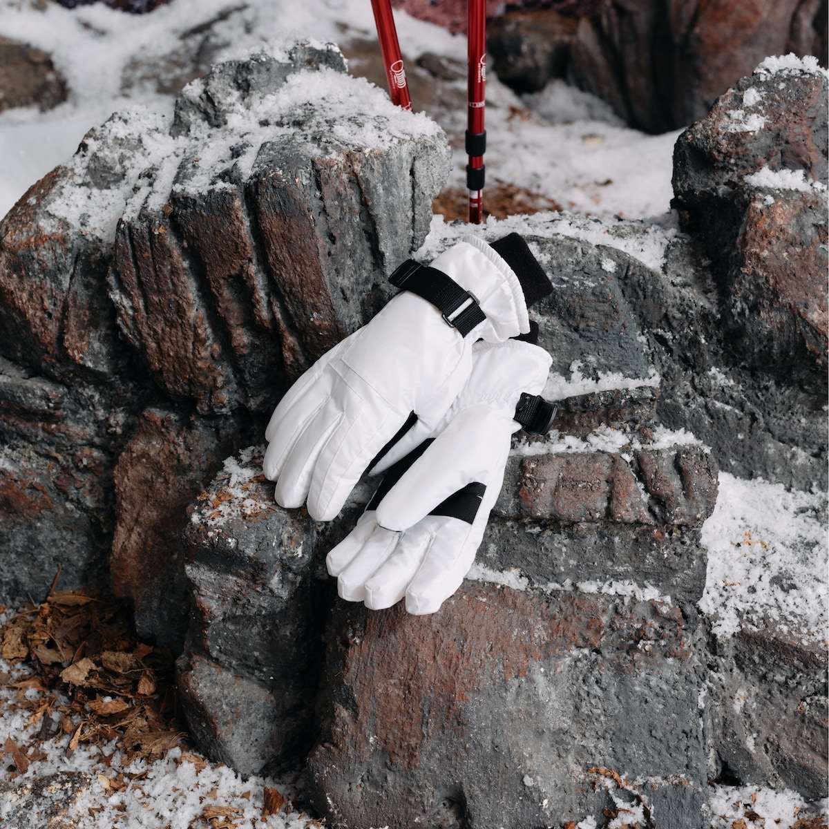 Ski Gloves