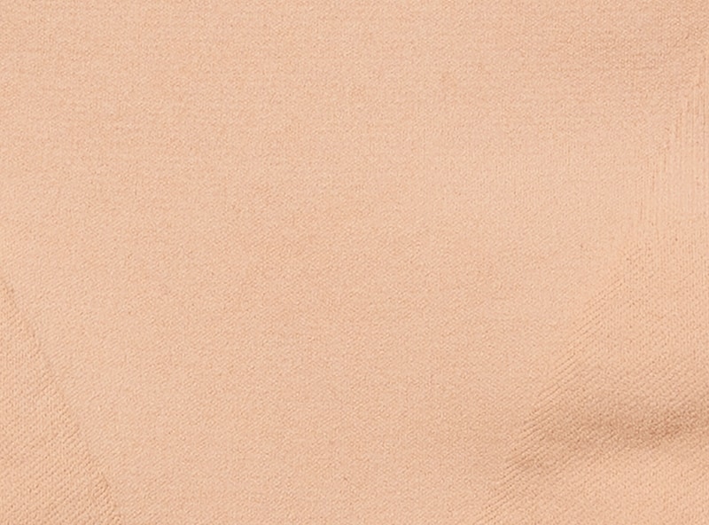 Seamless Shaping High Waist Thong