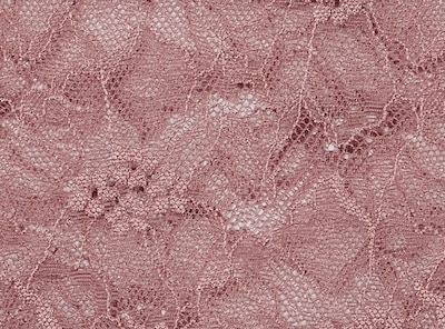 Lace Boyshort