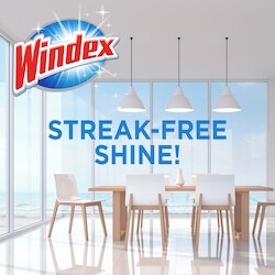 Windex Original Glass and Window Cleaner Refill - 2 l | Loblaws