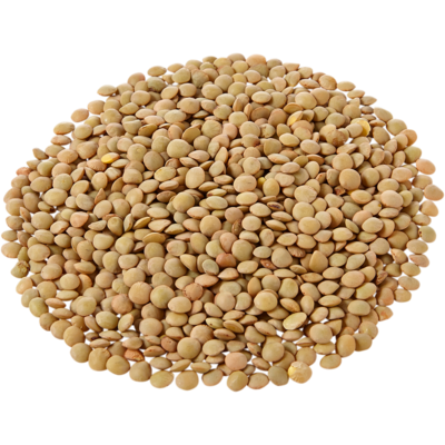 null Lentils, Green $0.50/100g $5.04/1kg