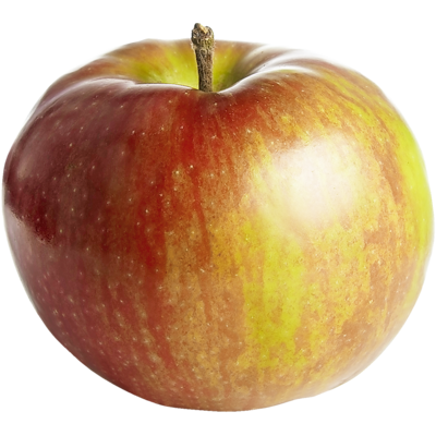 null Macintosh Apple Orchard Run $5.49/1kg $2.49/1lb