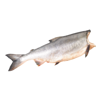 null Organic Whole Salmon $48.48/1kg $22.00/1lb