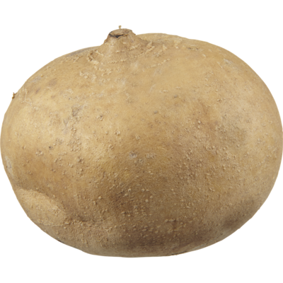 null Jicama $3.51/1kg $1.59/1lb