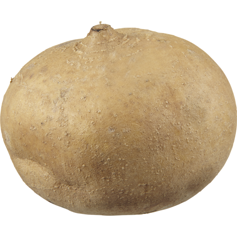 Jicama