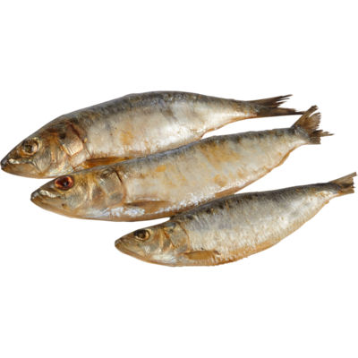 null Whole Fresh Sardines $35.25/1kg $15.99/1lb