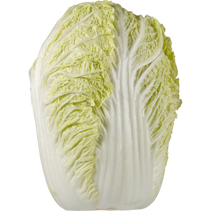 Chinese Napa Cabbage