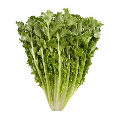 null Endive 1 ea, 3,99 $/1ch