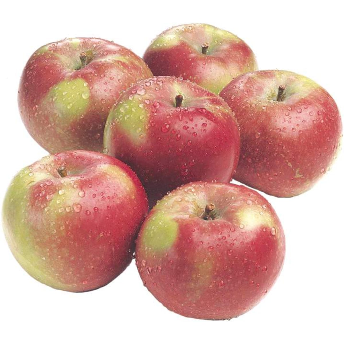 null Apples, Lobo $0.55/100g $2.50/1lb