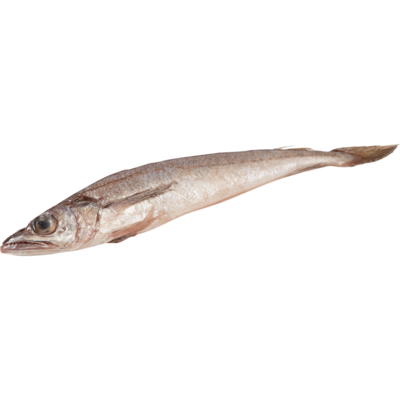 null Whiting $11.00/1kg $4.99/1lb