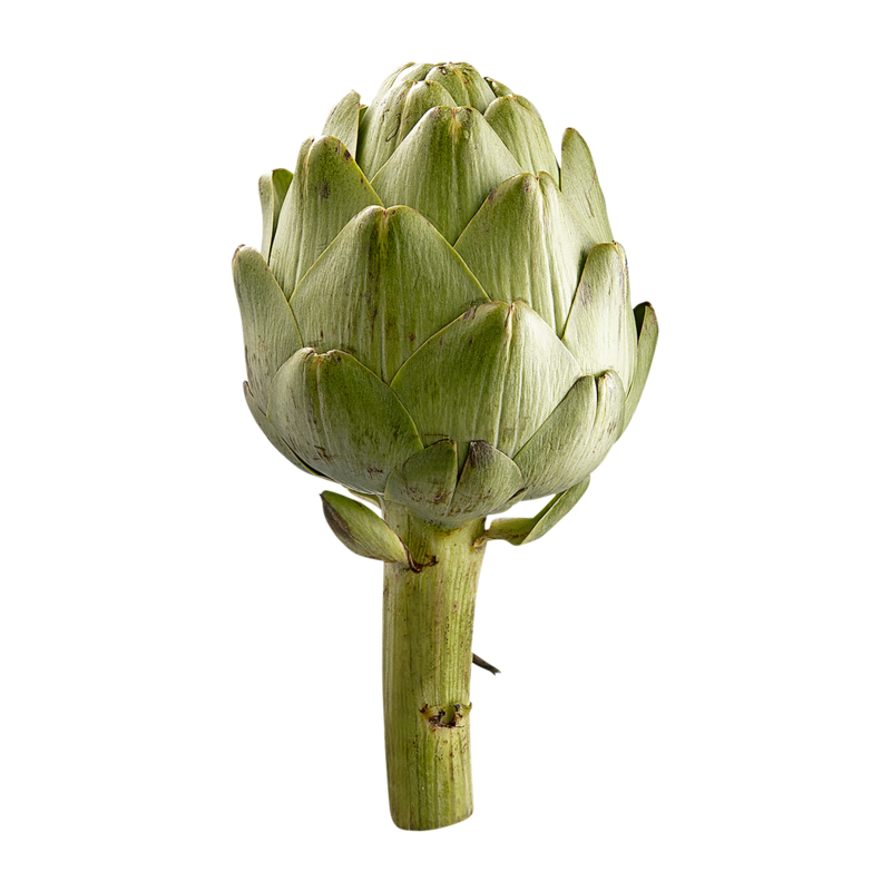 Artichokes, Large