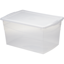 Everyday Essentials Clear Storage Box, 50L ea Real Canadian