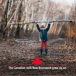 Baxter 3.25% Homogenized Milk - 1 l | Atlantic Superstore