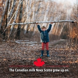 Scotsburn 3.25% Homogenized Milk - 1 l | Dominion Stores of
