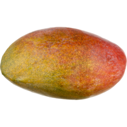 null Mangue Palmer 1 ea, 5,00 $/1ch