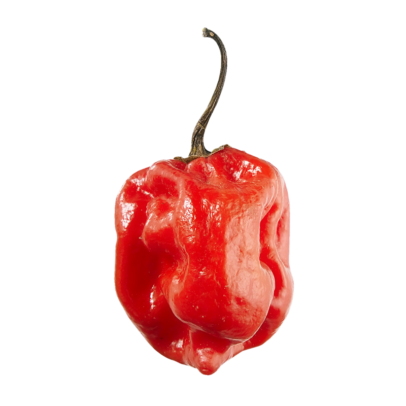 Scotch Bonnet Peppers