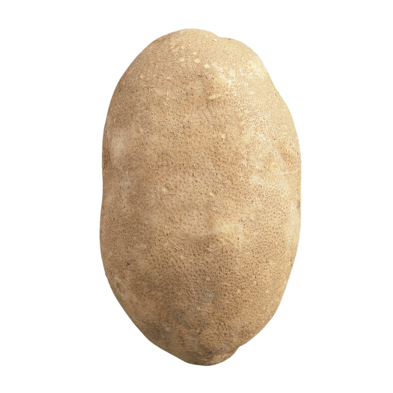 Baking Russet Potato