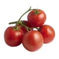 Tomates sur vigne