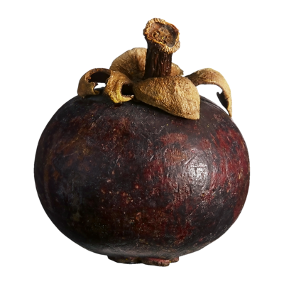 null Mangosteen $17.61/1kg $7.99/1lb