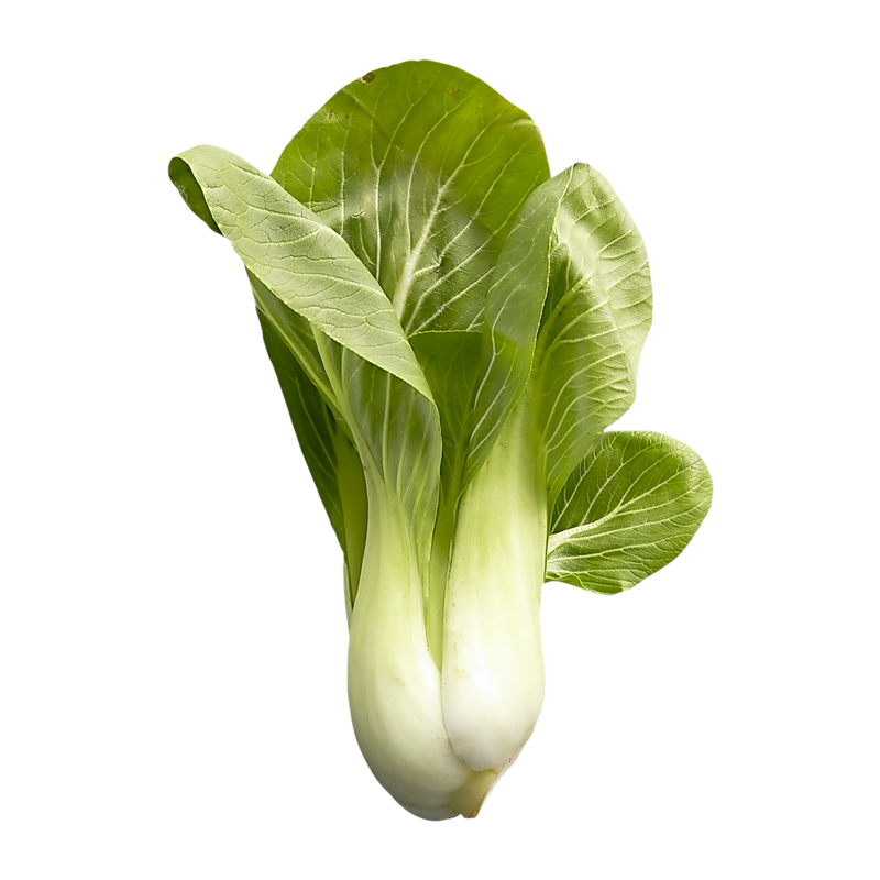 Shanghai Bok Choy