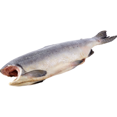 null Whole Wild Pink Salmon, Frozen $9.90/1kg $4.49/1lb