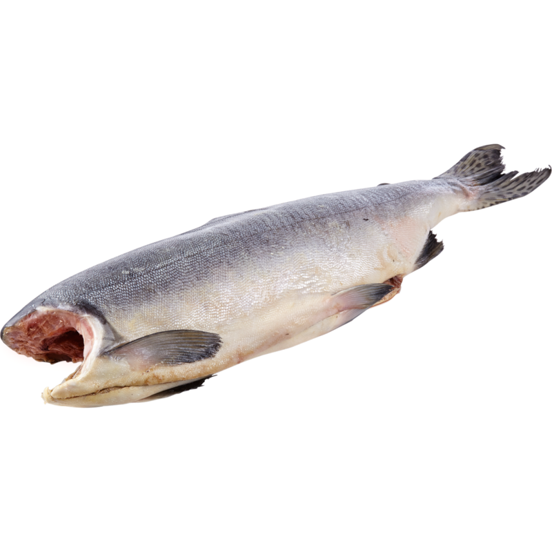 Whole Wild Pink Salmon, Frozen